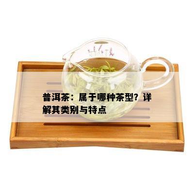 普洱茶：属于哪种茶型？详解其类别与特点