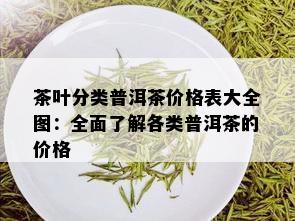 茶叶分类普洱茶价格表大全图：全面了解各类普洱茶的价格