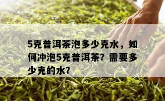 5克普洱茶泡多少克水，如何冲泡5克普洱茶？需要多少克的水？