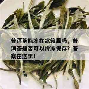 普洱茶能冻在冰箱里吗，普洱茶是否可以冷冻保存？答案在这里！