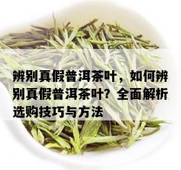 辨别真假普洱茶叶，如何辨别真假普洱茶叶？全面解析选购技巧与方法