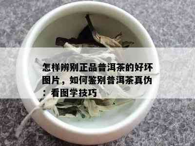 怎样辨别正品普洱茶的好坏图片，如何鉴别普洱茶真伪：看图学技巧