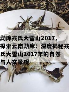 勐库戎氏大雪山2017，探索云南勐库：深度揭秘戎氏大雪山2017年的自然与人文景观