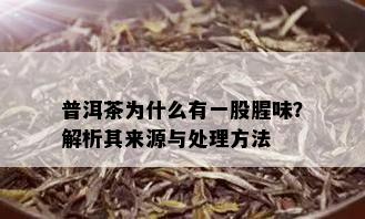 普洱茶为什么有一股腥味？解析其来源与处理方法