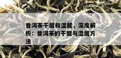 普洱茶干醒和湿醒，深度解析：普洱茶的干醒与湿醒方法