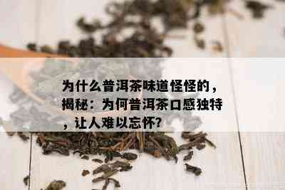 为什么普洱茶味道怪怪的，揭秘：为何普洱茶口感独特，让人难以忘怀？