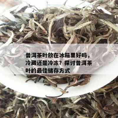 普洱茶叶放在冰箱里好吗，冷藏还是冷冻？探讨普洱茶叶的更佳储存方式