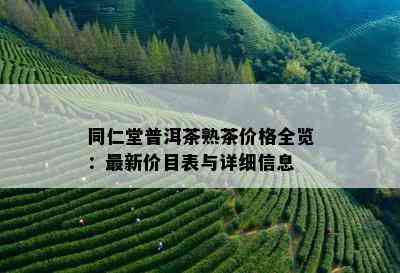 同仁堂普洱茶熟茶价格全览：最新价目表与详细信息