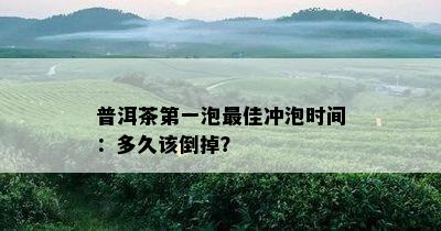 普洱茶之一泡更佳冲泡时间：多久该倒掉？