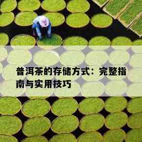 普洱茶的存储方式：完整指南与实用技巧