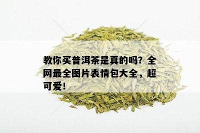 教你买普洱茶是真的吗？全网最全图片表情包大全，超可爱！