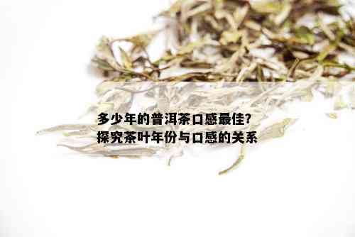 多少年的普洱茶口感更佳？探究茶叶年份与口感的关系