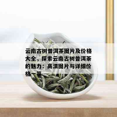 云南古树普洱茶图片及价格大全，探索云南古树普洱茶的魅力：高清图片与详细价格一览