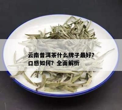 云南普洱茶什么牌子更好？口感如何？全面解析