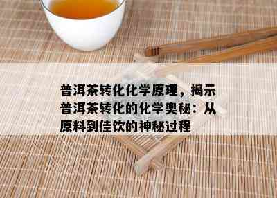 普洱茶转化化学原理，揭示普洱茶转化的化学奥秘：从原料到佳饮的神秘过程