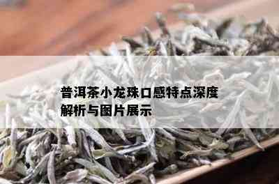 普洱茶小龙珠口感特点深度解析与图片展示