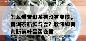 怎么看普洱茶有没有变质，普洱茶新鲜与否？教你如何判断茶叶是否变质