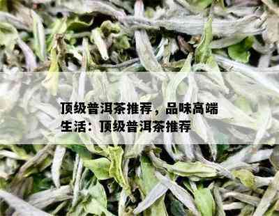 顶级普洱茶推荐，品味高端生活：顶级普洱茶推荐