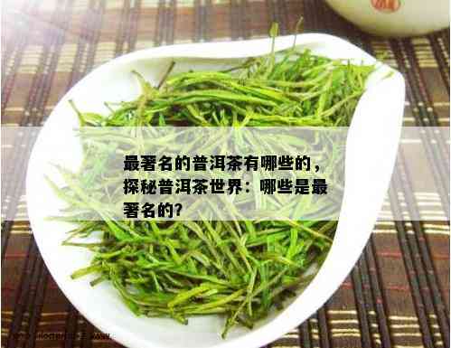 最著名的普洱茶有哪些的，探秘普洱茶世界：哪些是最著名的？