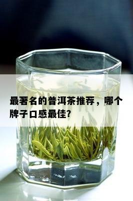 最著名的普洱茶推荐，哪个牌子口感更佳？