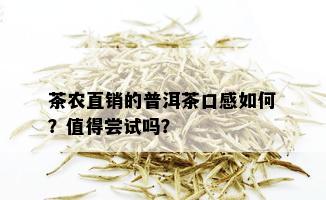 茶农直销的普洱茶口感如何？值得尝试吗？