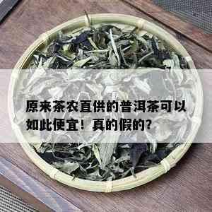 原来茶农直供的普洱茶可以如此便宜！真的假的？