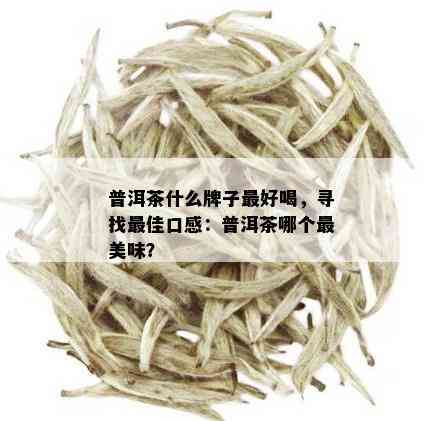 普洱茶什么牌子更好喝，寻找更佳口感：普洱茶哪个最美味？