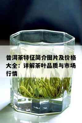 普洱茶特征简介图片及价格大全：详解茶叶品质与市场行情