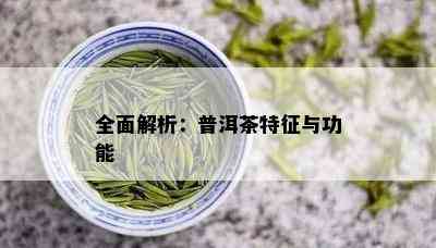 全面解析：普洱茶特征与功能