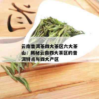 云南普洱茶四大茶区六大茶山：揭秘云南四大茶区的普洱特点与四大产区