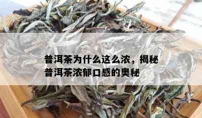 普洱茶为什么这么浓，揭秘普洱茶浓郁口感的奥秘