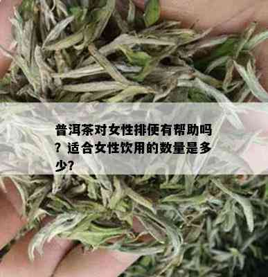 普洱茶对女性排便有帮助吗？适合女性饮用的数量是多少？