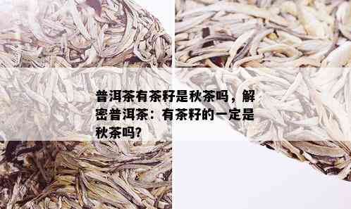 普洱茶有茶籽是秋茶吗，解密普洱茶：有茶籽的一定是秋茶吗？