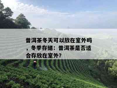 普洱茶冬天可以放在室外吗，冬季存储：普洱茶是否适合存放在室外？