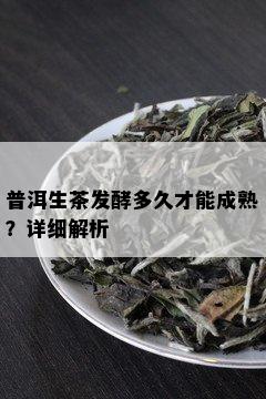 普洱生茶发酵多久才能成熟？详细解析