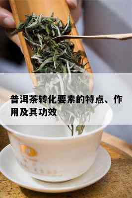 普洱茶转化要素的特点、作用及其功效