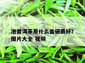 泡普洱茶用什么盖碗更好？图片大全 视频