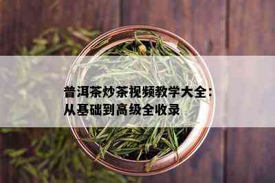 普洱茶炒茶视频教学大全：从基础到高级全收录