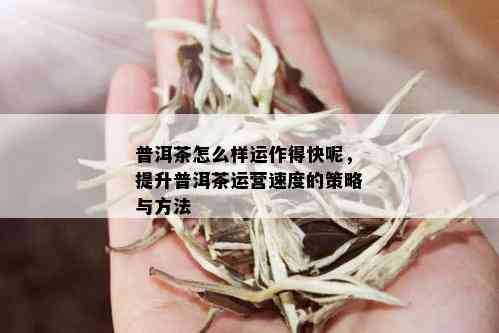 普洱茶怎么样运作得快呢，提升普洱茶运营速度的策略与方法