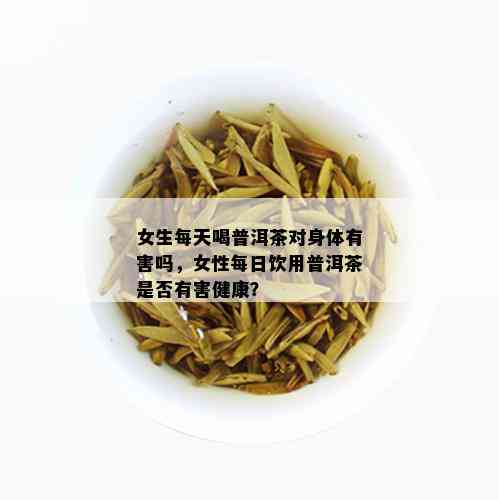 女生每天喝普洱茶对身体有害吗，女性每日饮用普洱茶是否有害健康？