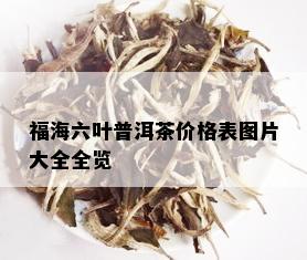 福海六叶普洱茶价格表图片大全全览