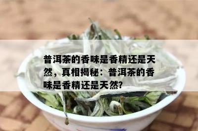 普洱茶的香味是香精还是天然，真相揭秘：普洱茶的香味是香精还是天然？