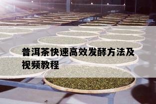 普洱茶快速高效发酵方法及视频教程