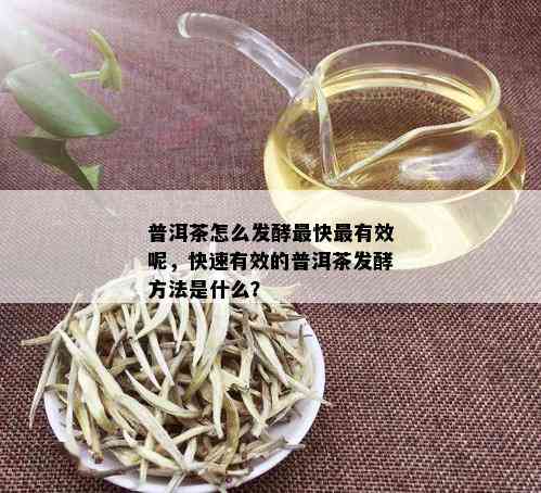 普洱茶怎么发酵最快最有效呢，快速有效的普洱茶发酵方法是什么？