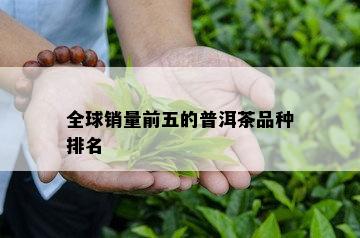 全球销量前五的普洱茶品种排名