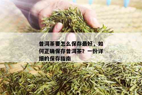 普洱茶要怎么保存更好，如何正确保存普洱茶？一份详细的保存指南