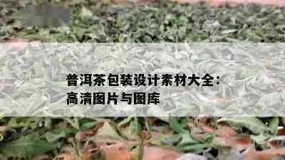 普洱茶包装设计素材大全：高清图片与图库