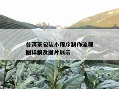 普洱茶包装小程序制作流程图详解及图片展示