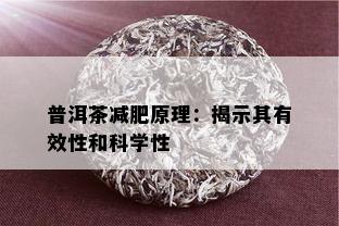 普洱茶减肥原理：揭示其有效性和科学性