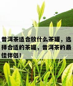 普洱茶适合放什么茶罐，选择合适的茶罐，普洱茶的更佳伴侣！